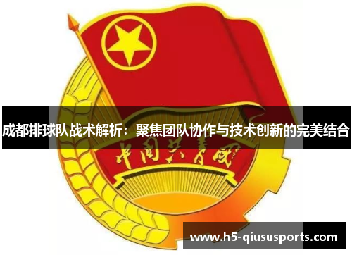 成都排球队战术解析：聚焦团队协作与技术创新的完美结合